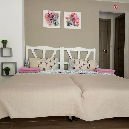 Apartment Mini-apartment Donna Rosa D'alvadorez *